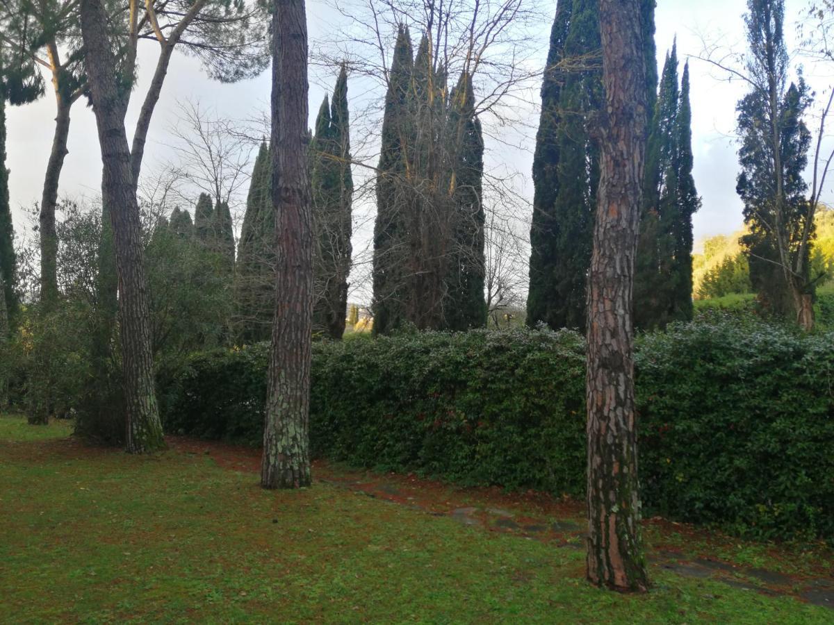 Due Passi Nel Parco Con Parcheggio Gratuito Apartment Florence Exterior photo